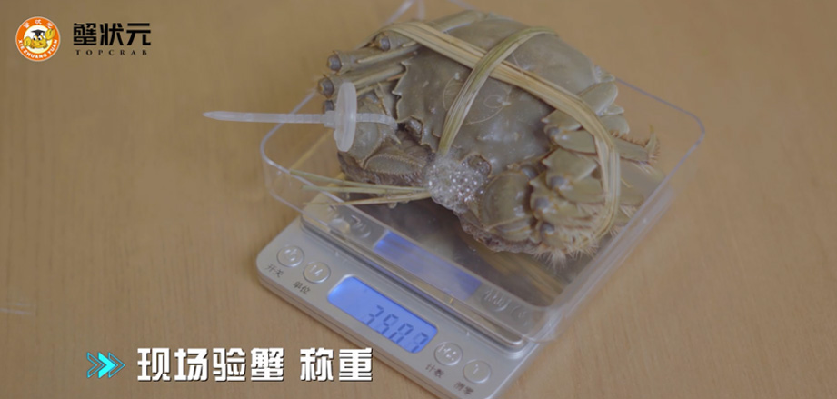螃蟹现场称重