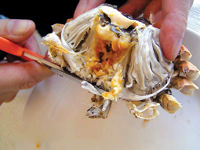 阳澄湖大闸蟹美食：吃蟹步骤4