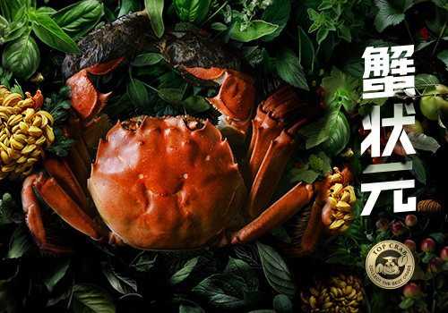 阳澄湖大闸蟹美食