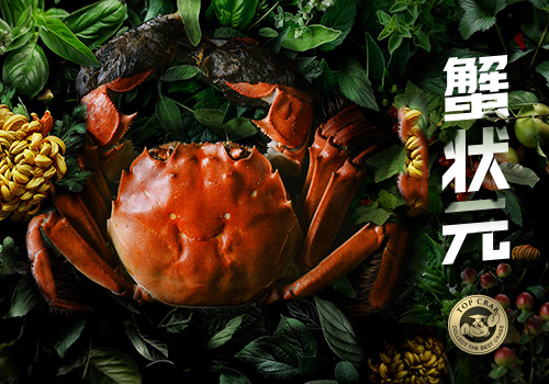 阳澄湖大闸蟹
