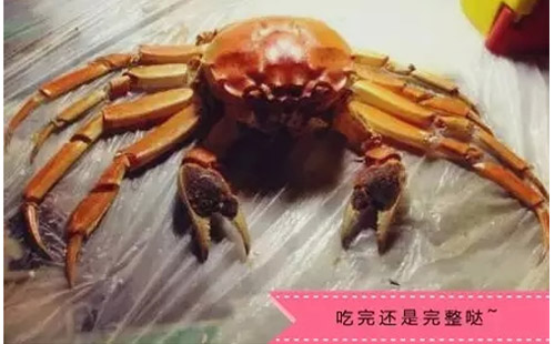 吃大闸蟹步骤11