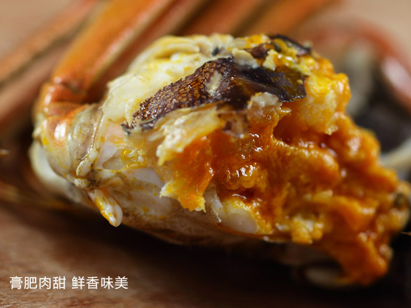 阳澄湖大闸蟹美食