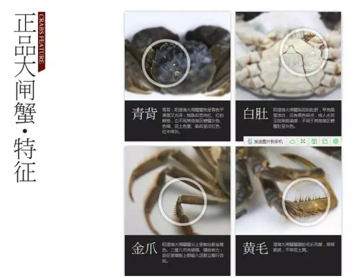 蟹状元网站产品版块
