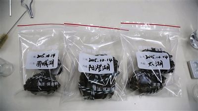 对三只大闸蟹分别标示固城湖、阳澄湖、太湖产地字样。