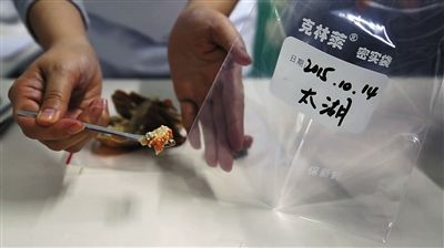 松鼠实验室人员从螃蟹中取出蟹黄样本。