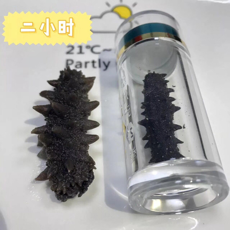 海参浸泡2小时后状态