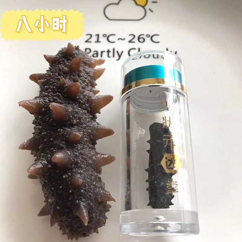 蟹状元达参浸泡8小时后状态