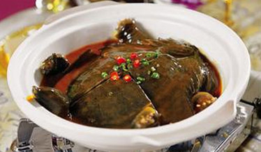 阳澄湖生态甲鱼