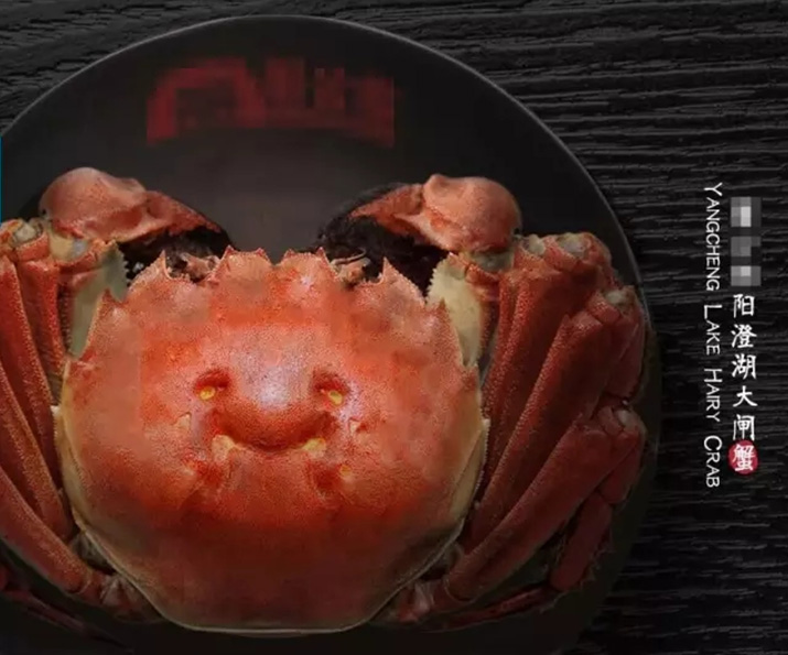 模仿蟹状元长江蟹者