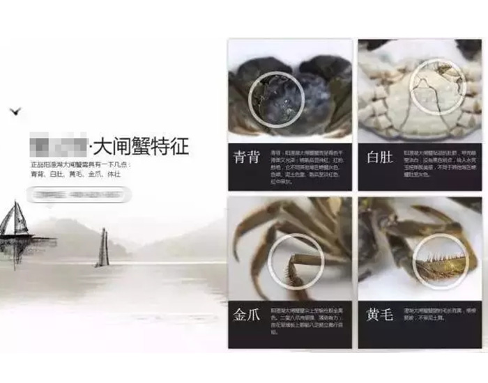 模仿蟹状元网站产品版块