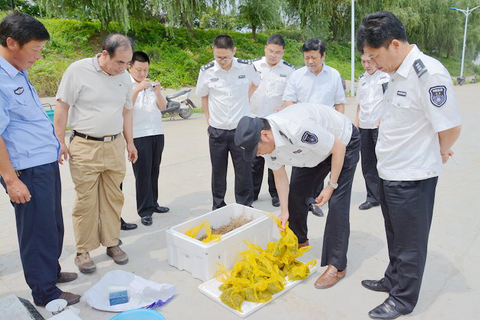阳澄湖大闸蟹蟹苗大流放！