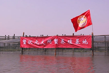 yangchenghu