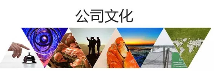 蟹状元公司文化