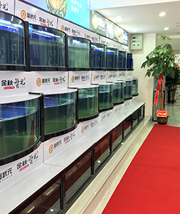 蟹状元大闸蟹专卖店武汉分店内部展示03