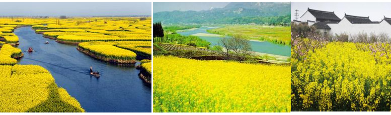 阳澄湖美景