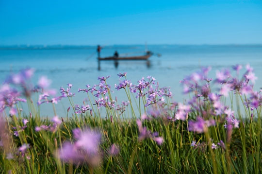 阳澄湖?春日里的湖畔
