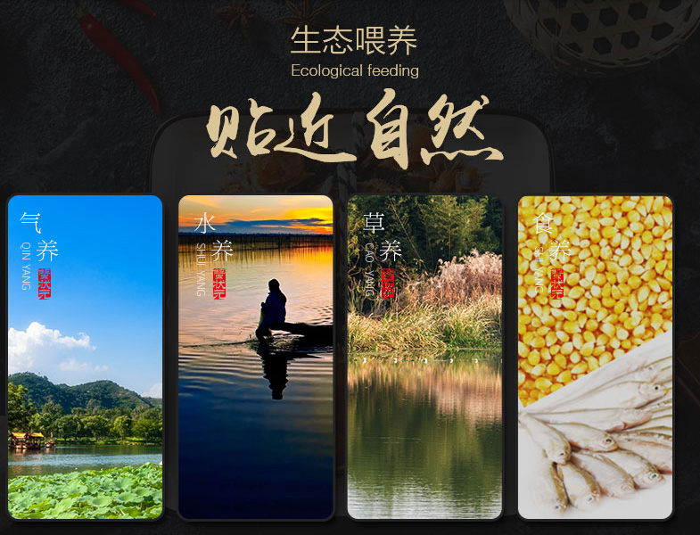 阳澄湖大闸蟹