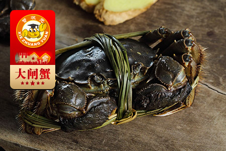 阳澄湖大闸蟹