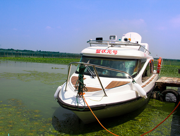 阳澄湖游艇蟹状元号