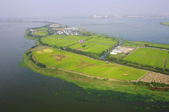 莲花岛风景区