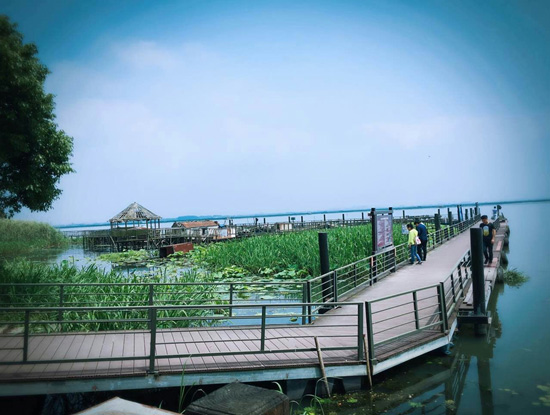 阳澄湖美景