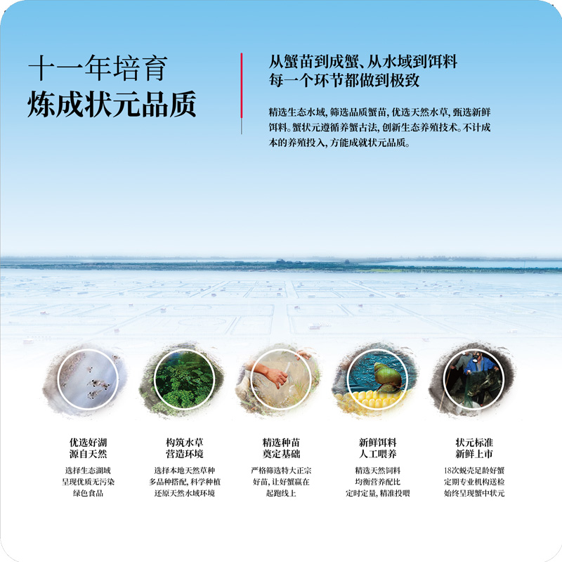 从蟹苗到成蟹