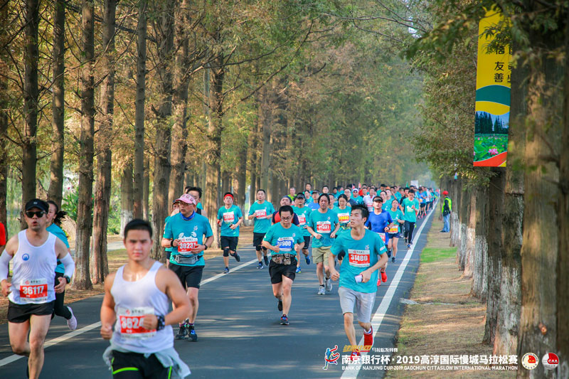 南京银行杯2019高淳国际慢城马拉松赛800