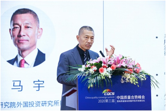 商务部研究院外国投资研究所所长马宇