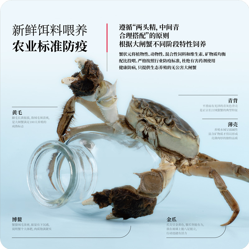 大闸蟹不同阶段养殖