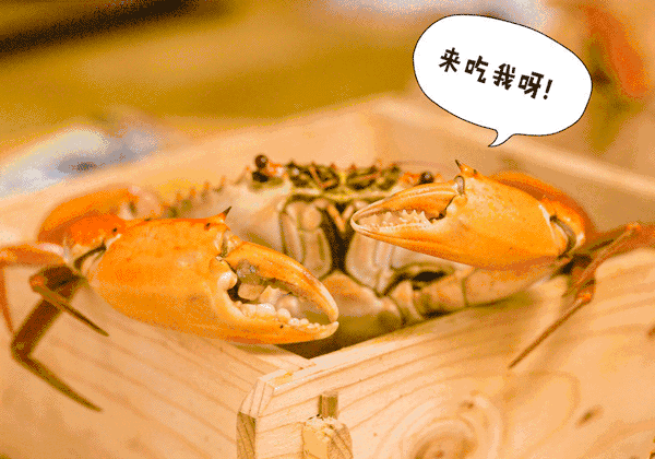 大闸蟹动态图