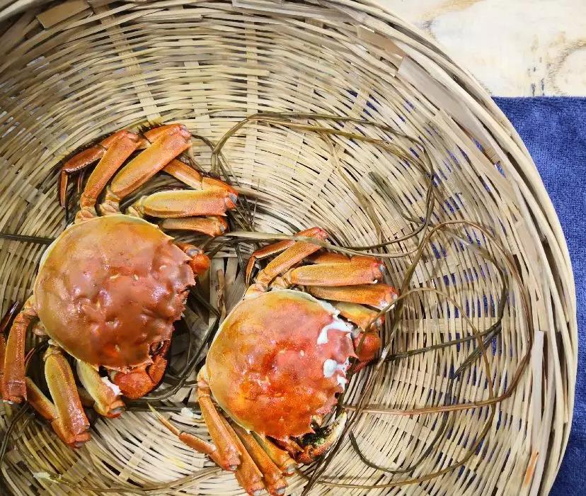 大闸蟹美食