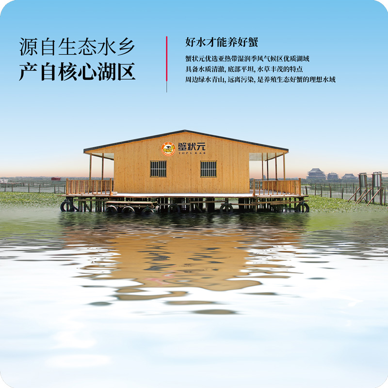 好水才能养好蟹