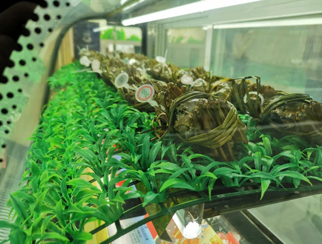 展会陈设大闸蟹