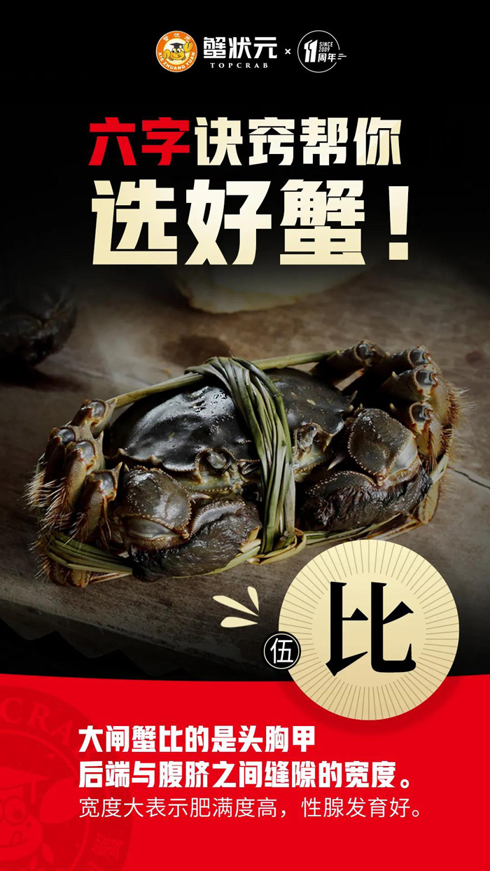 比比大闸蟹的宽度