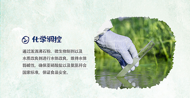 水质调控大闸蟹养殖