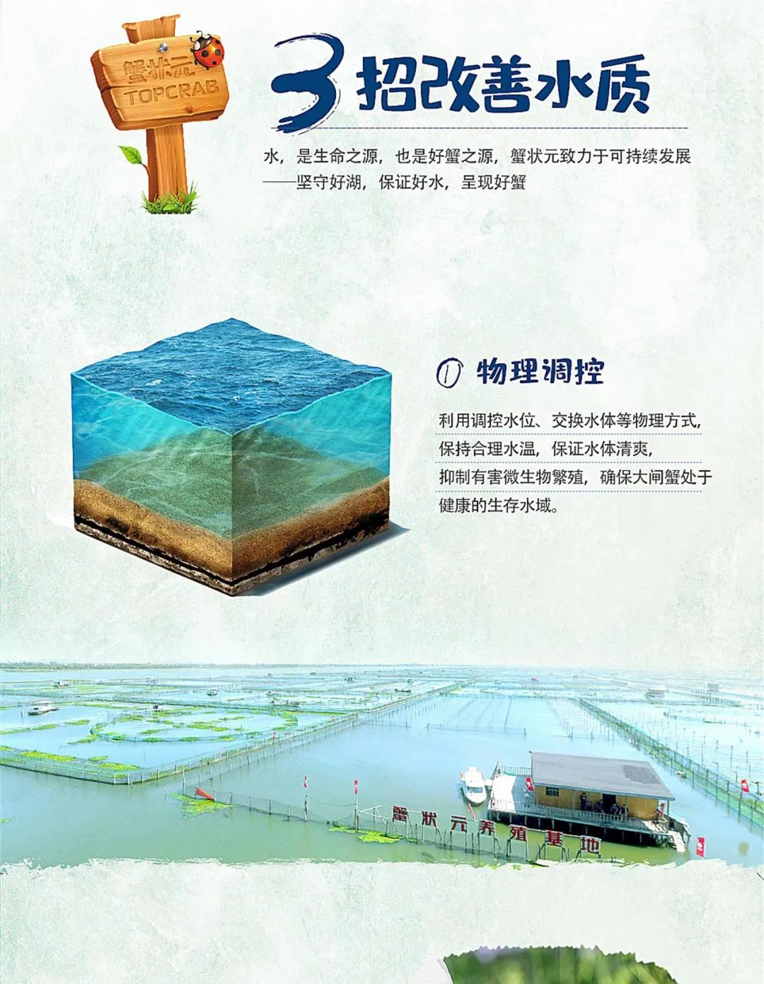 螃蟹养殖水质物理跳空等