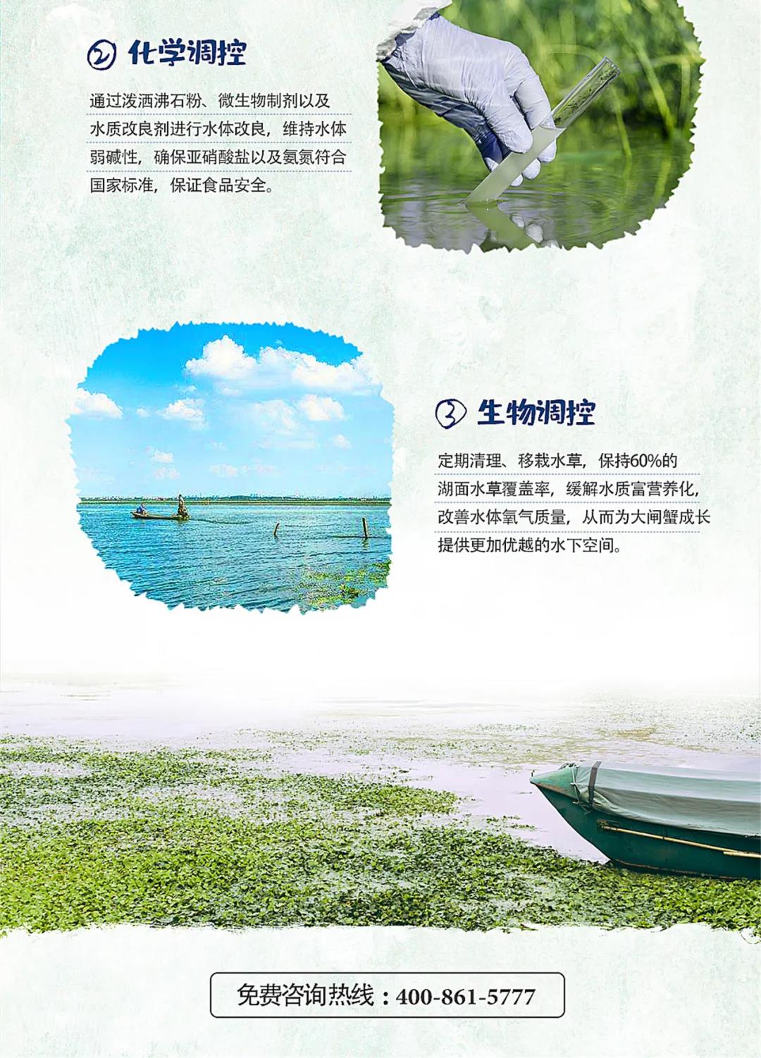 螃蟹养殖水质物理跳空等