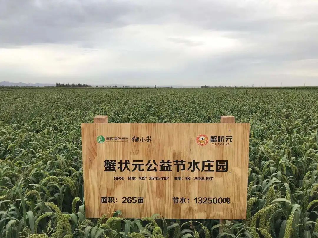蟹状元公益节水庄园