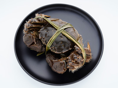 阳澄湖大闸蟹