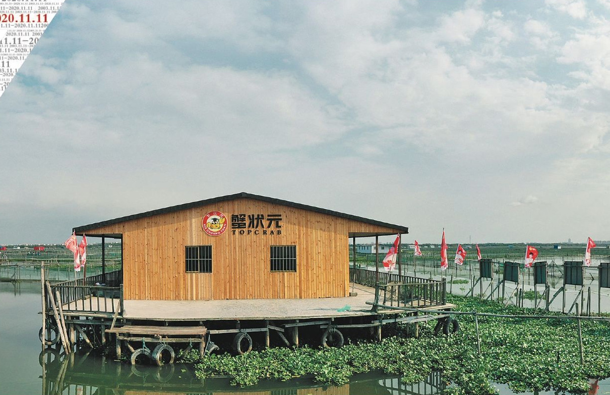 蟹状元大闸蟹养殖基地