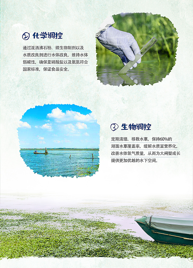 蟹状元大闸蟹科学养殖02