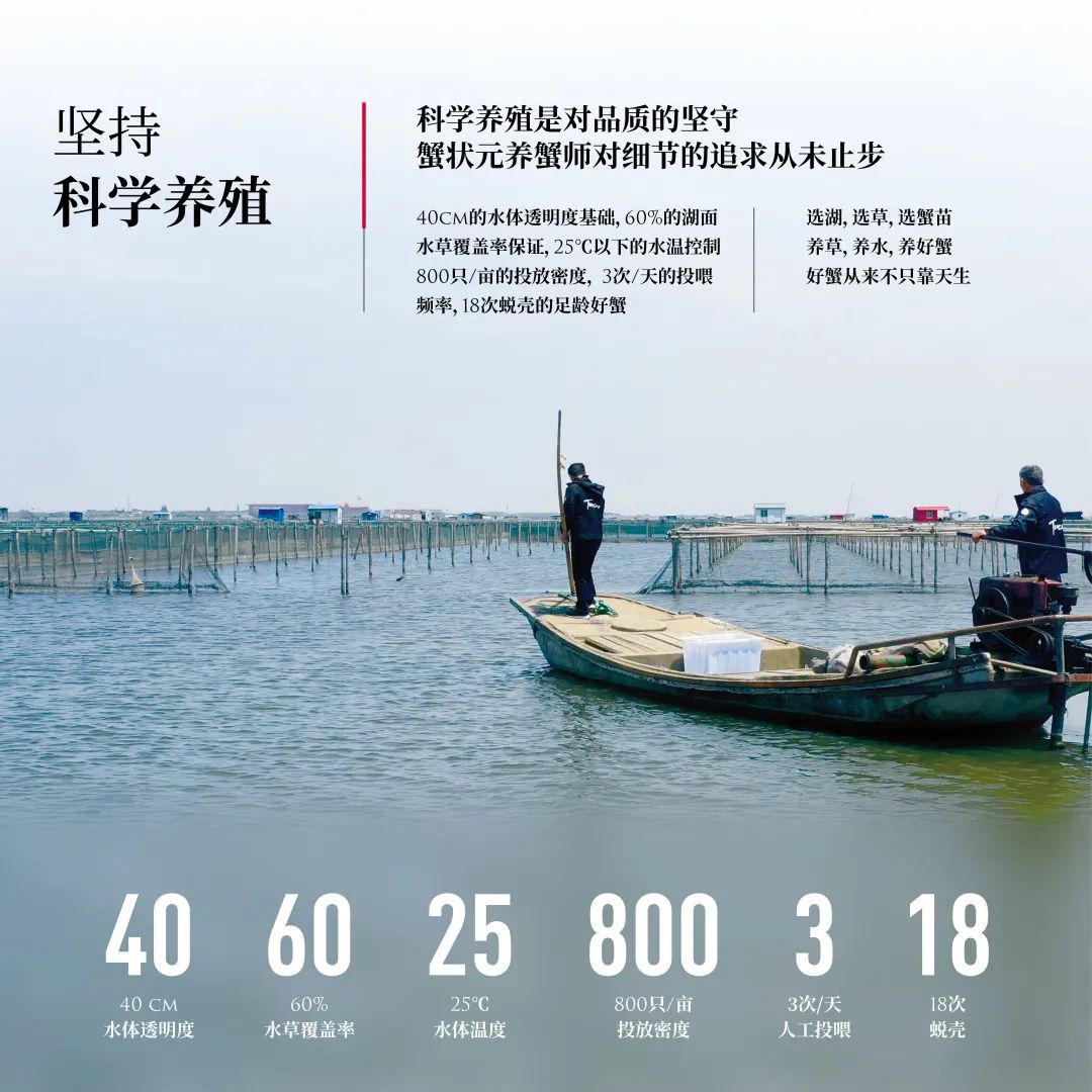 蟹状元大闸蟹科学养殖