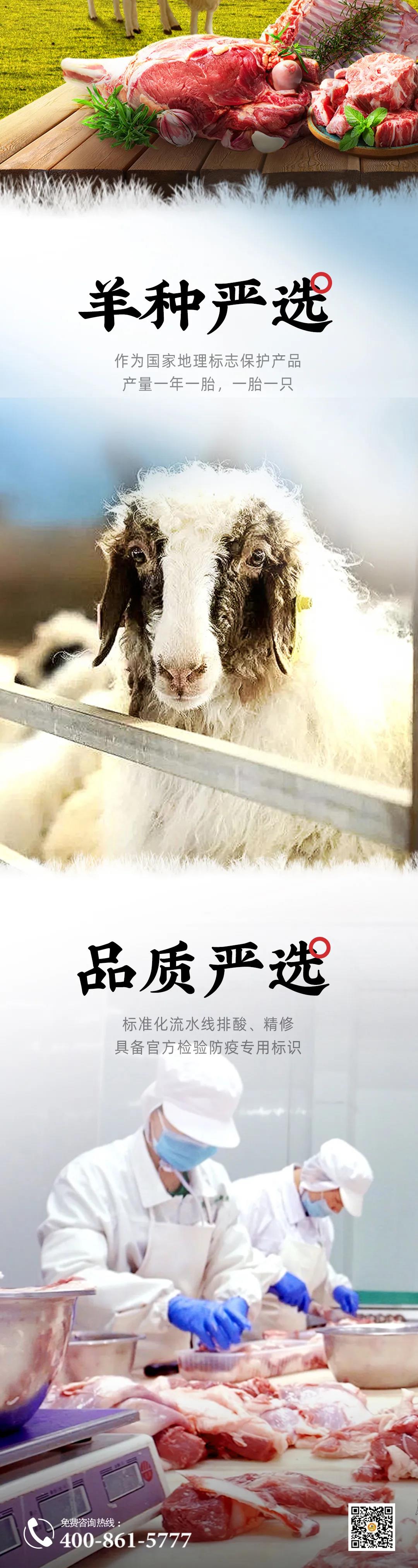 蟹状元盐池滩羊