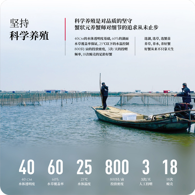 蟹状元科学养蟹