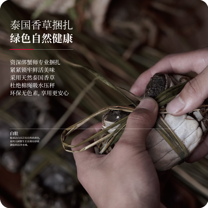 蟹状元采用泰国香草捆绑大闸蟹
