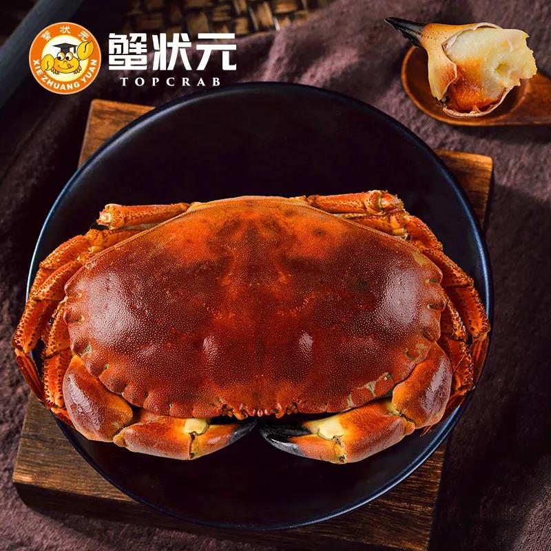 蟹状元面包蟹