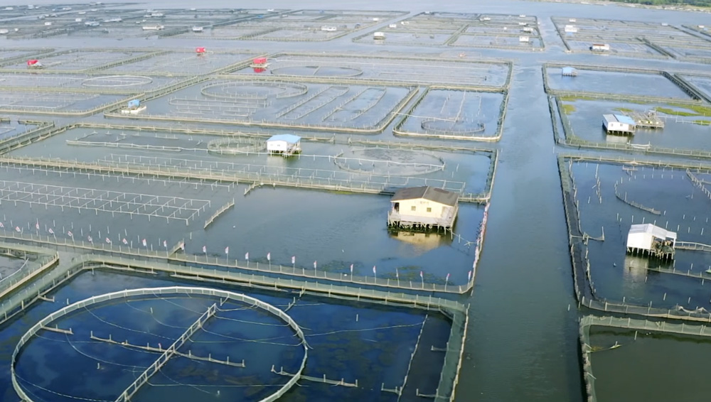 阳澄湖养殖基地