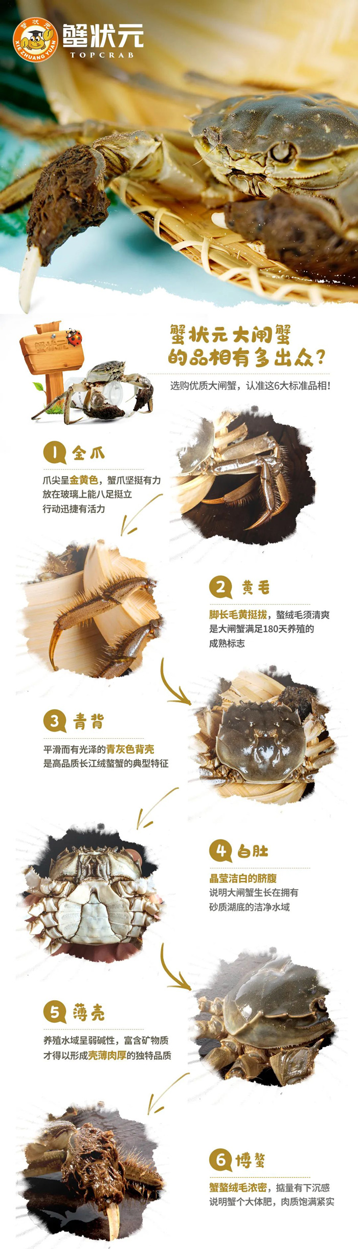 蟹状元大闸蟹养殖过程700px7148 蟹状元大闸蟹养殖过程700px7148