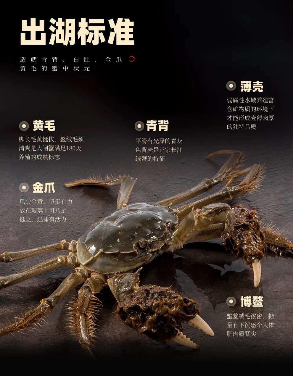 好蟹九大标准出湖标准2 好蟹九大标准出湖标准2
