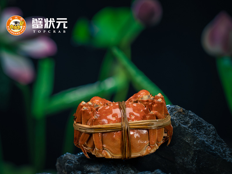 蟹状元大闸蟹8254 蟹状元大闸蟹8254